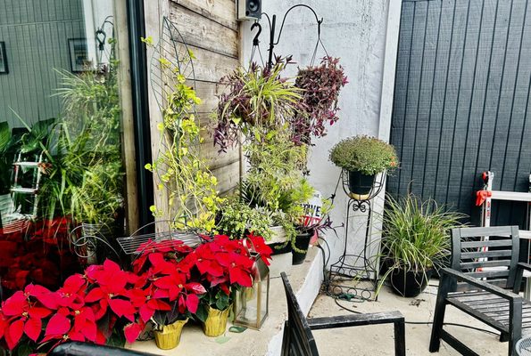 Native Coffee by null