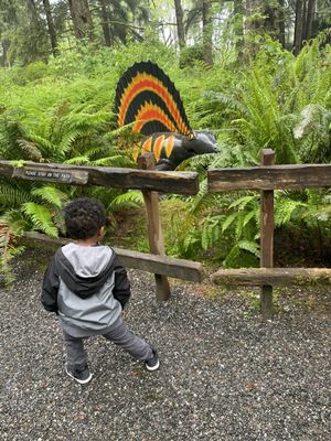 Prehistoric Gardens by null