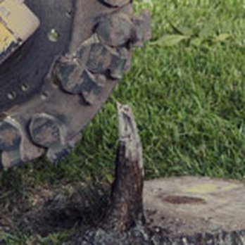 Zarco's Professional Tree Service - Tree Services Near Me - Carmel Valley, California Zarco's Professional Tree Service - Tree Services Near Me - Carmel Valley, California