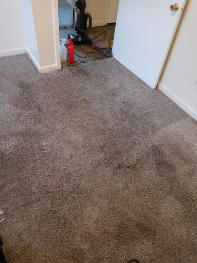 PRAYING HANDS CLEANING SERVICE Updated August 2024 25 Photos