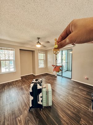 Viera Cool Springs Apartments by null