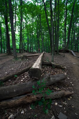 Kelso Conservation Area by null