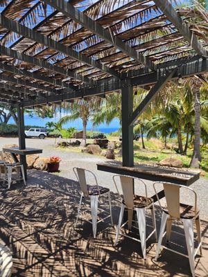 Punakea Palms by null