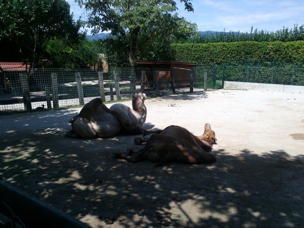 Parco Faunistico Cappeller