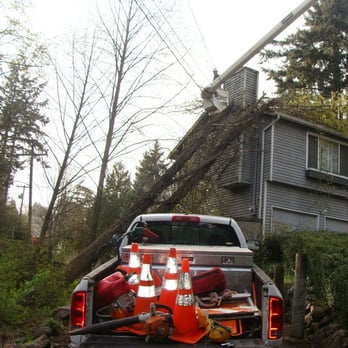 Ballard Tree Service - Tree Services Near Me - Seattle, Washington Ballard Tree Service - Tree Services Near Me - Seattle, Washington