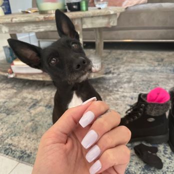 Nail Concepts - Nail Salons Near Me - Fort Lauderdale, Florida