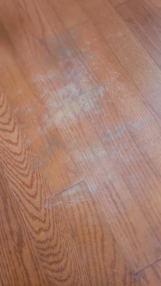 CLEANCEE SERVICES Updated August 2024 3900 Tree Summit Pkwy NW