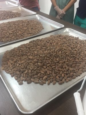 Exquisito Chocolates by null