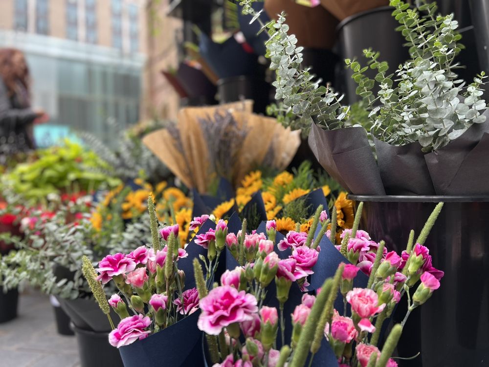 MARCHÉ AUX FLEURS Updated August 2024 23 Photos 600 Rue SainteCatherine O, Montréal