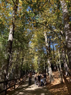 Walden Pond State Reservation by null