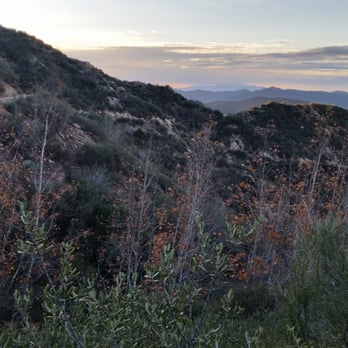 Smith Mountain Via Bear Creek Trail - Hiking Near Me - Azusa, California
