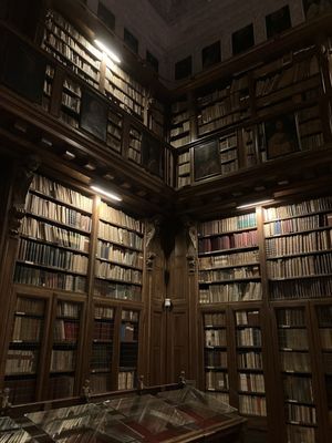 Pinacoteca Ambrosiana by null