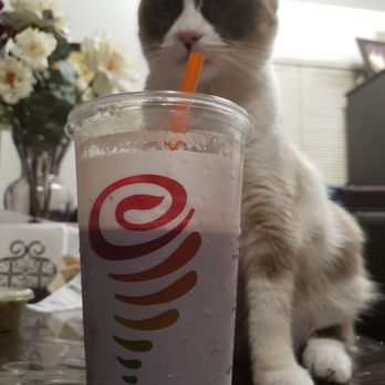 Jamba - My cat wanting to try it. - Juice Bars & Smoothies Near Me - Pico Rivera, California