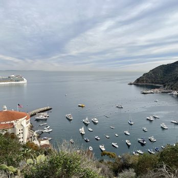 Catalina Island - Local Flavor Near Me Catalina Island - Local Flavor Near Me