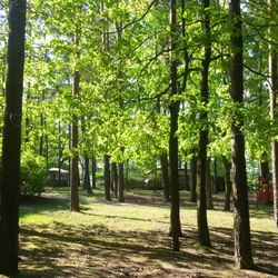 Campingplatz Deutschbaselitz