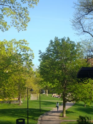 Sinebrychoff Park by null