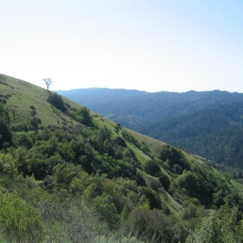 Monte Bello Open Space Preserve - Hiking Near Me - Palo Alto, California Monte Bello Open Space Preserve - Hiking Near Me - Palo Alto, California