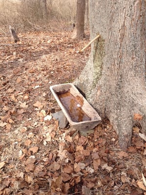 Coggeshall Farm Museum by null