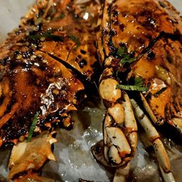 Blue Crab