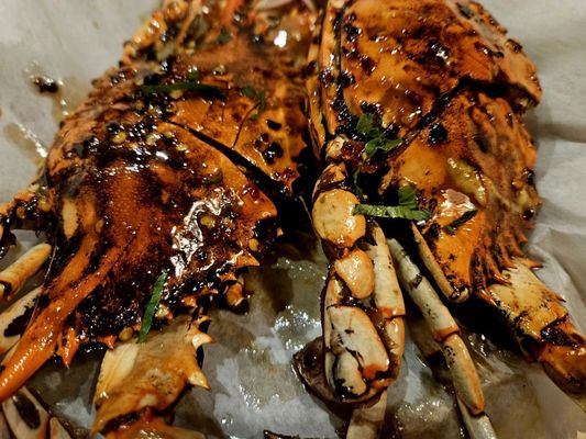 Crab House NYC by null