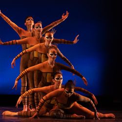 Heartland Conservatory of Dance - Pridelands- The Ballet Alliance Festival