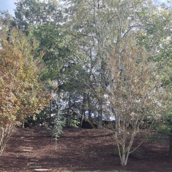 SpeedStinger Landscaping - Landscaping Near Me - Murfreesboro, Tennessee SpeedStinger Landscaping - Landscaping Near Me - Murfreesboro, Tennessee