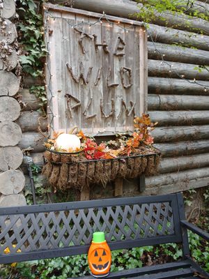 Wild Plum Tea Room by null