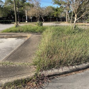 PASADENA MUNICIPAL COURT Updated November 2025 1114 Davis St