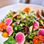 Photo of Borage Catering