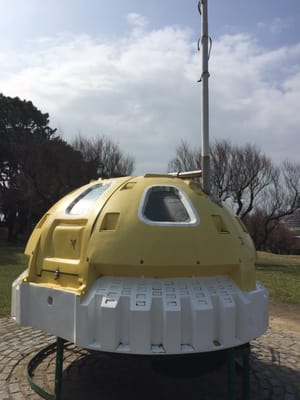 Magdalena Peninsula by null