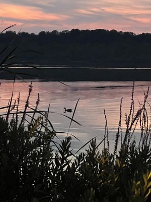 Aan de Poel by null