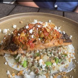 Salmon Salmon