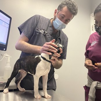 York Veterinary Center - Veterinarians Near Me - New York, New York