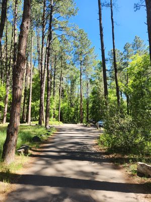 Cave Springs Campground by null