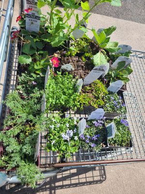 Portland Nursery by null