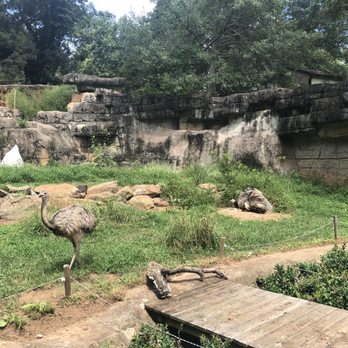 Greenville Zoo - Zoos Near Me - Greenville, South Carolina