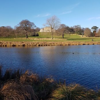 Cusworth Country Park - Dog Parks Near Me - Doncaster, XSY