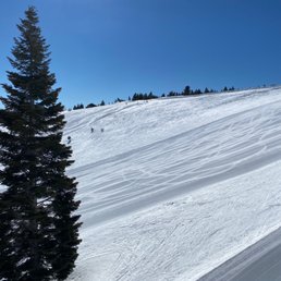 Corduroy! Corduroy!