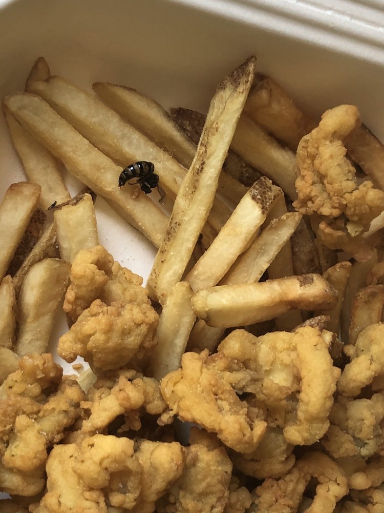 DIPSY DOODLE DAIRY BAR 17 Photos & 29 Reviews Ice Cream & Frozen