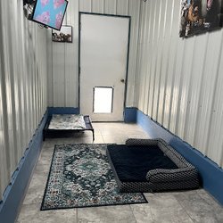 Woof Woof Pet Resort - Inside one of luxurious dog suites. With cot, Orthopedic Bed, TV, with area rug and Pictures on the wall, Your dogs Home away from Home.