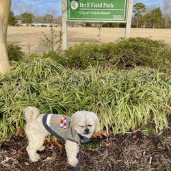 Brill Field Park - Sign out front of the park