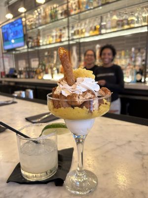 Elephant and The Dove by null