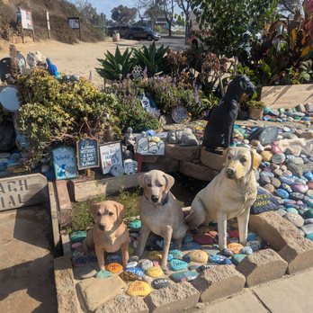 Del Mar Dog Beach - Dog Parks Near Me - Del Mar, California Del Mar Dog Beach - Dog Parks Near Me - Del Mar, California