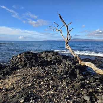 Easy Campers Maui - Car Rental Near Me