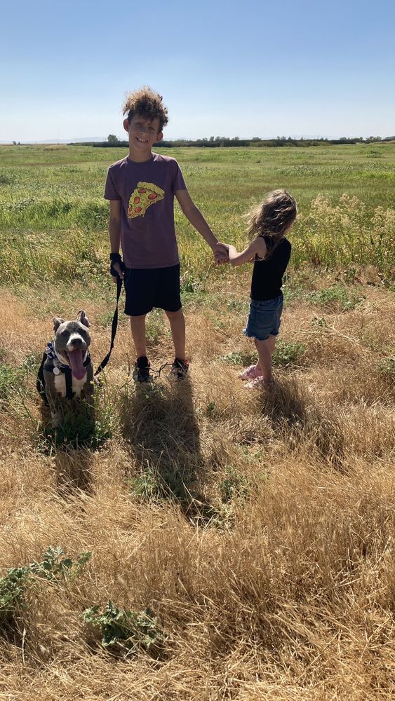 MONTE VISTA SMALL ANIMAL HOSPITAL Updated September 2024 103 Photos