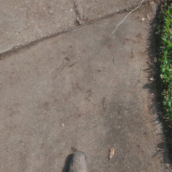 Opal Green Landscaping - Lawn Services Near Me - Humble, Texas Opal Green Landscaping - Lawn Services Near Me - Humble, Texas