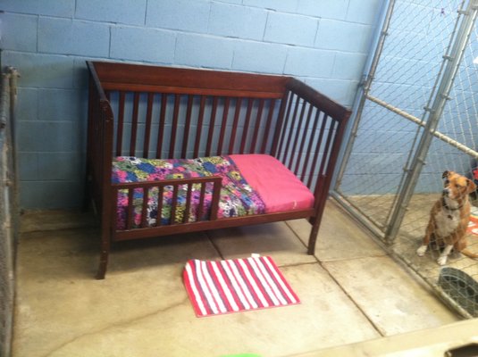 Vineyard kennels Clearance