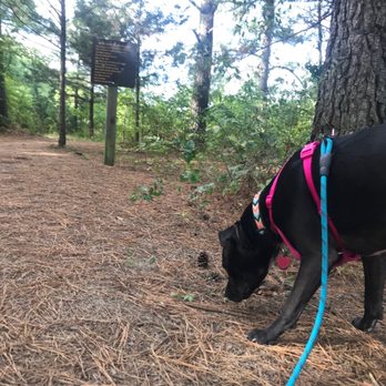White River Valley Trail System - Hiking Near Me - Branson, Missouri