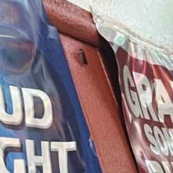 Buffalo Wings And Sub - Roach on wall