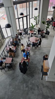 Gotan Hoboken by null